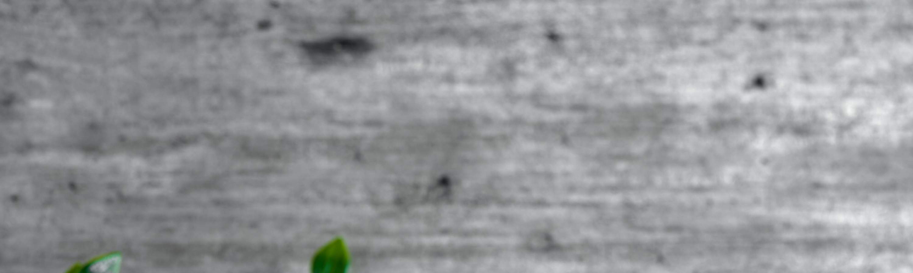 シンガポール・チャンギ空港 ラウンジシャワー（乗り継ぎのお客様向け）