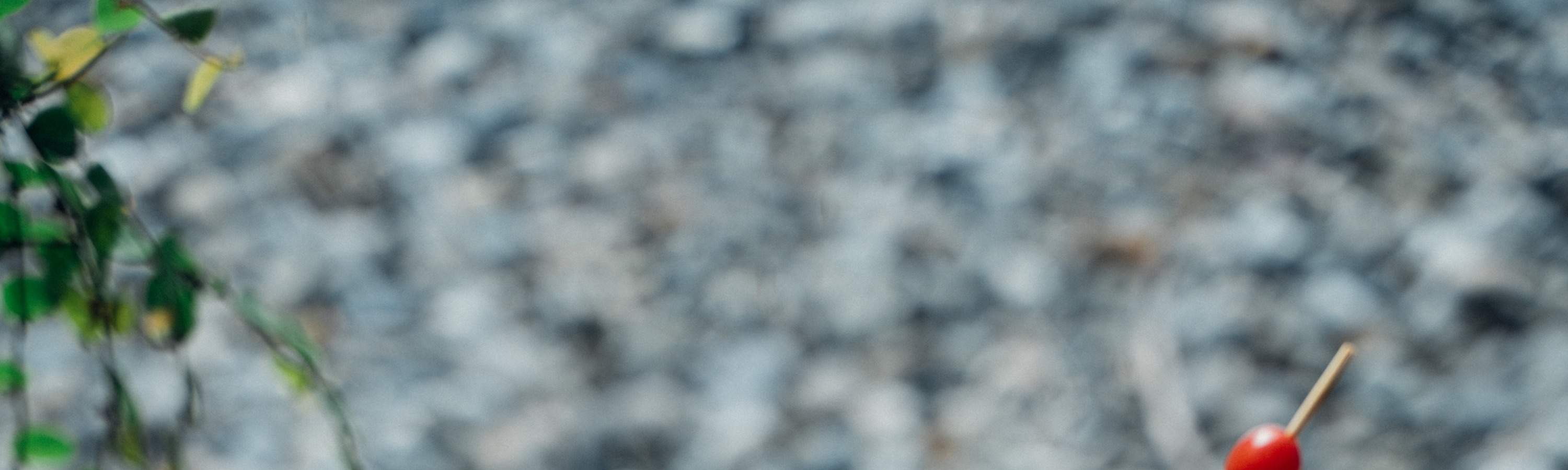 天ㄟ露营车：西式早餐