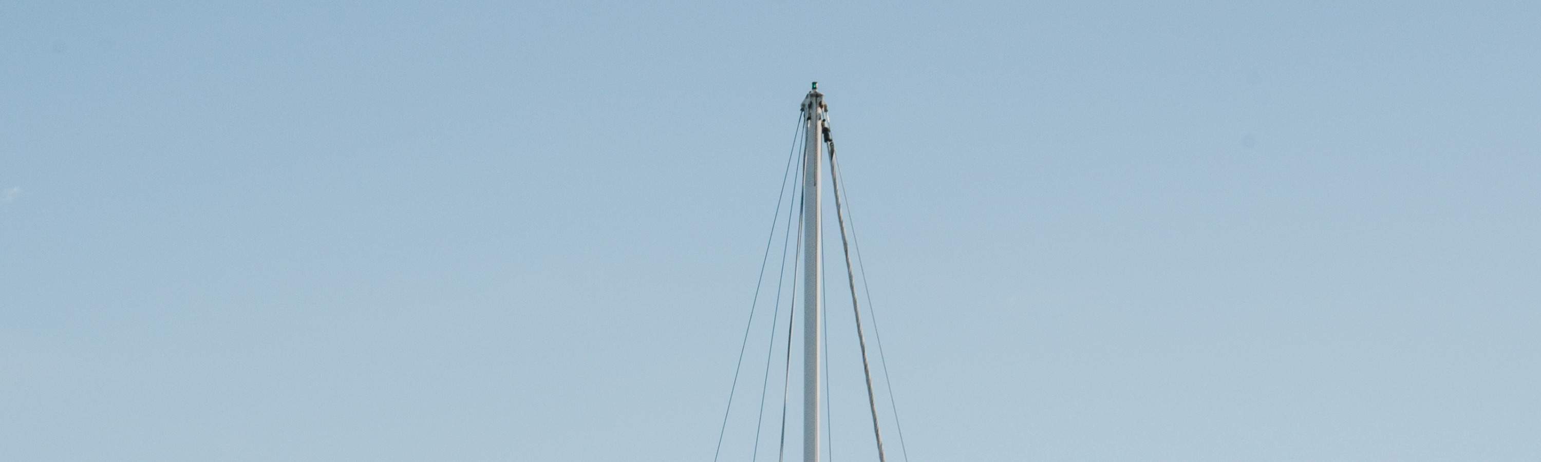 Crucero de Mejillones Verdes de Marlborough