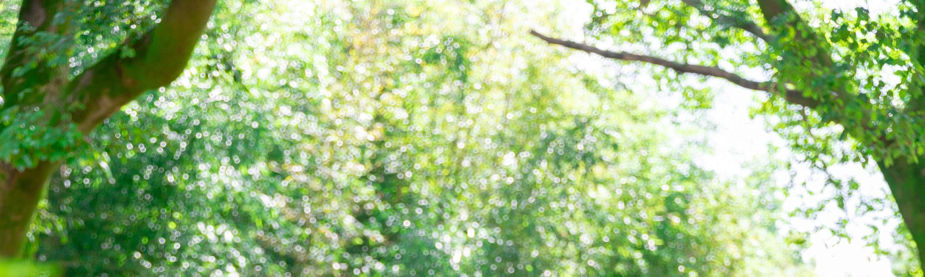 ประสบการณ์ชุดฮันบกและการถ่ายภาพที่หมู่บ้านชอนจูฮันอก