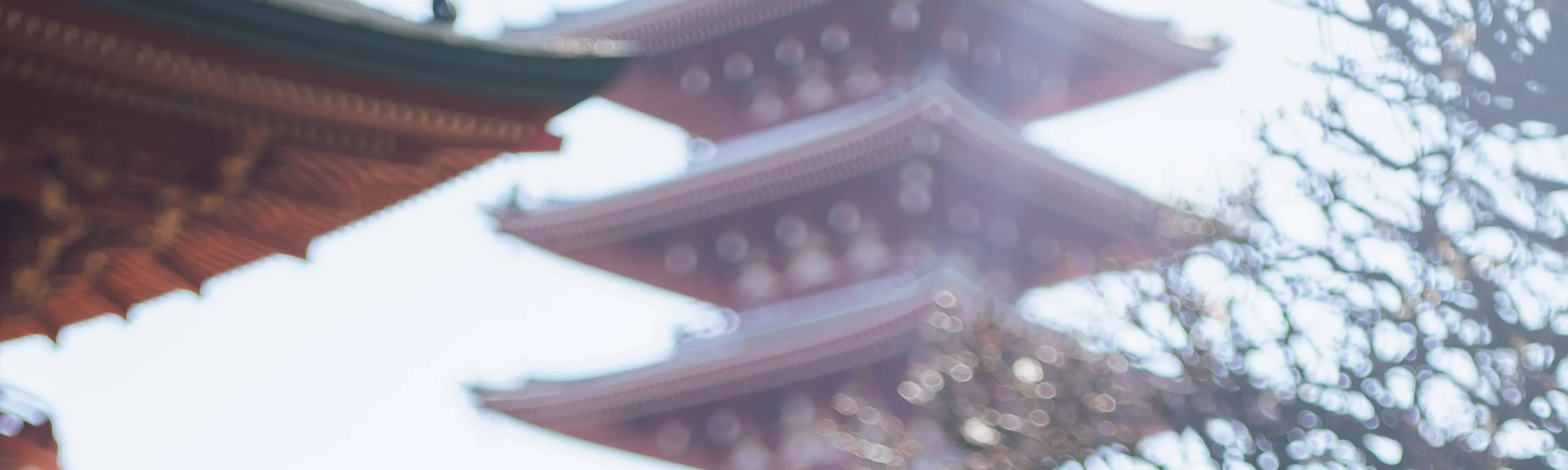 浅草高级和服租赁（Premium Miyabi）