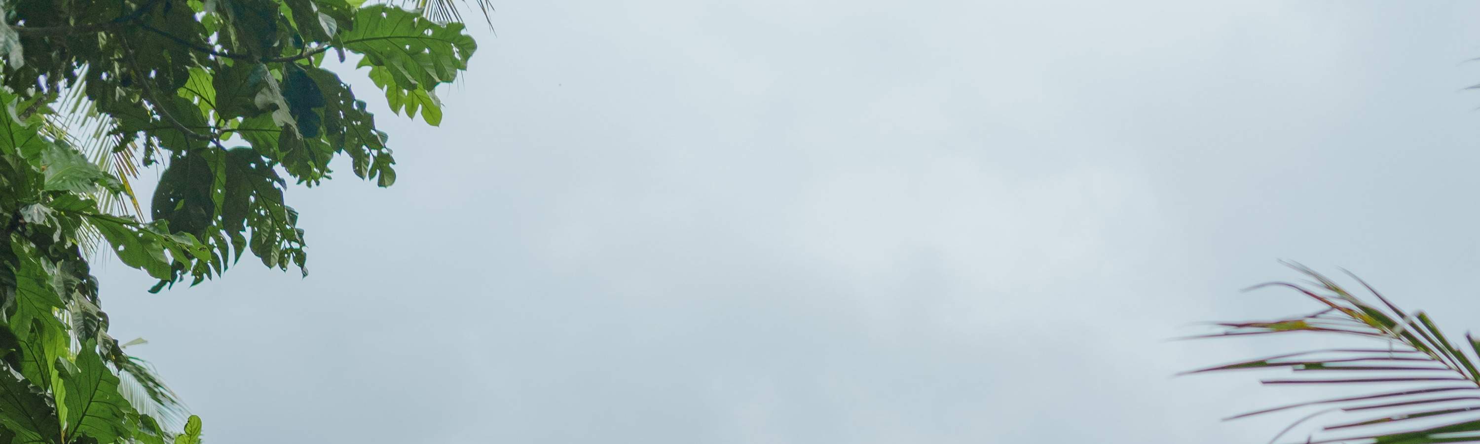 Viaggio di guarigione balinese, corso di cucina, ciclismo o esperienza di vita balinese al Bali Rural Commune