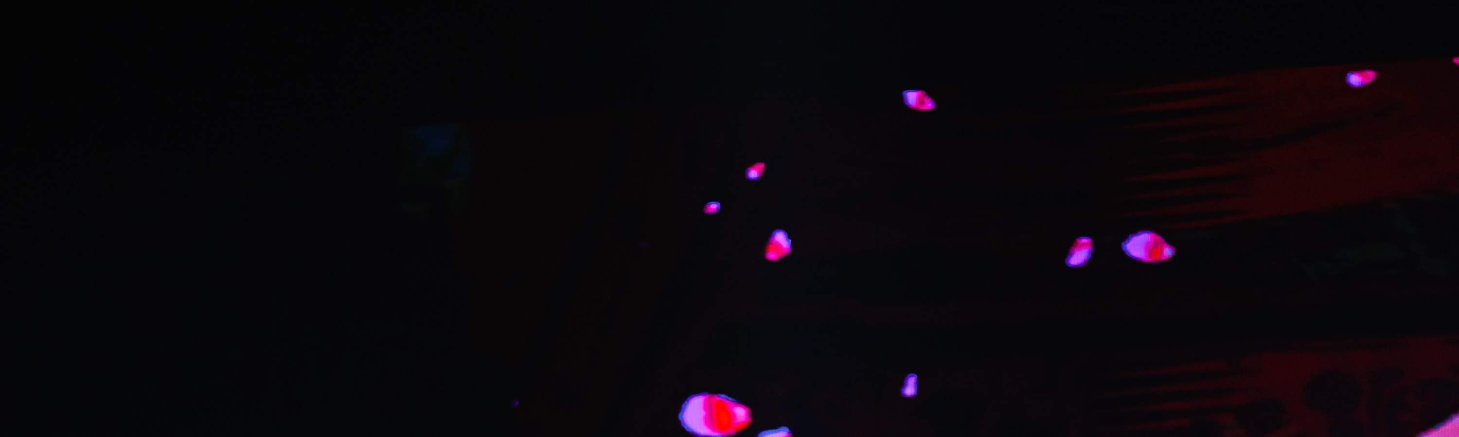 芭堤雅夜场表演