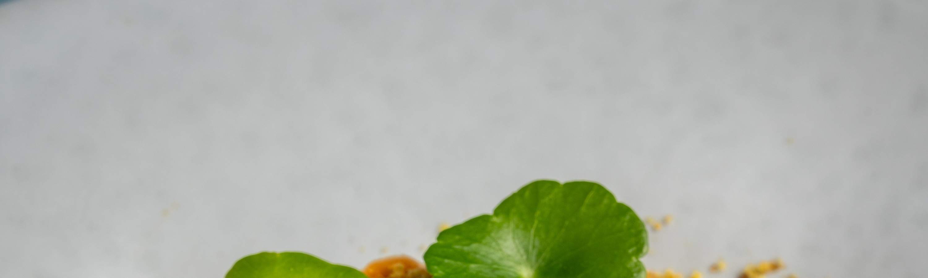 Jim Thompson, A Thai Restaurant