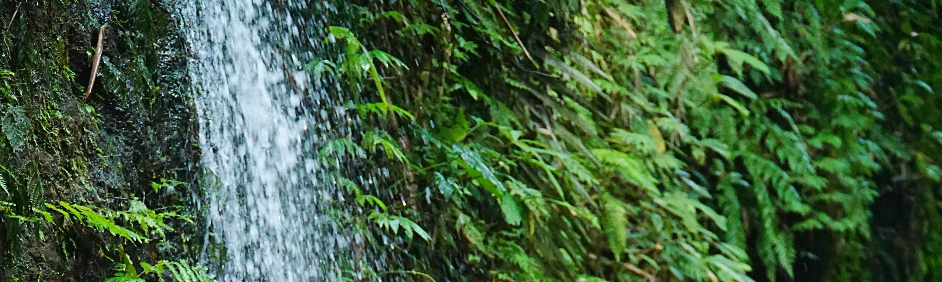 Enjoy the best Bali ATV Quad Bike Adventure in Ubud Bali