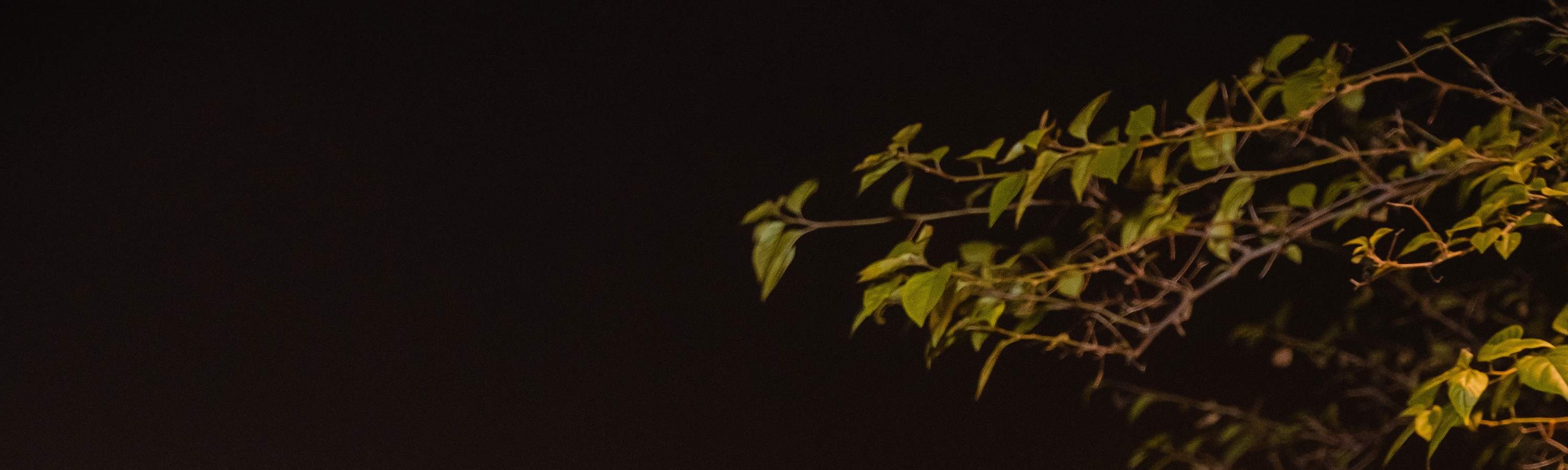 Cloud Nine Fine Dining：高空美景与越南美食