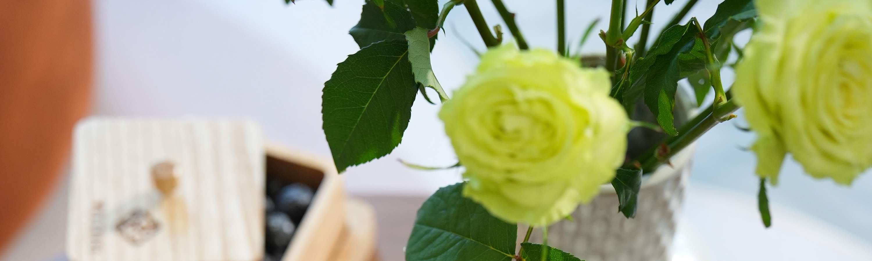 May Chang Spa：岘港全方位身心灵疗愈之旅