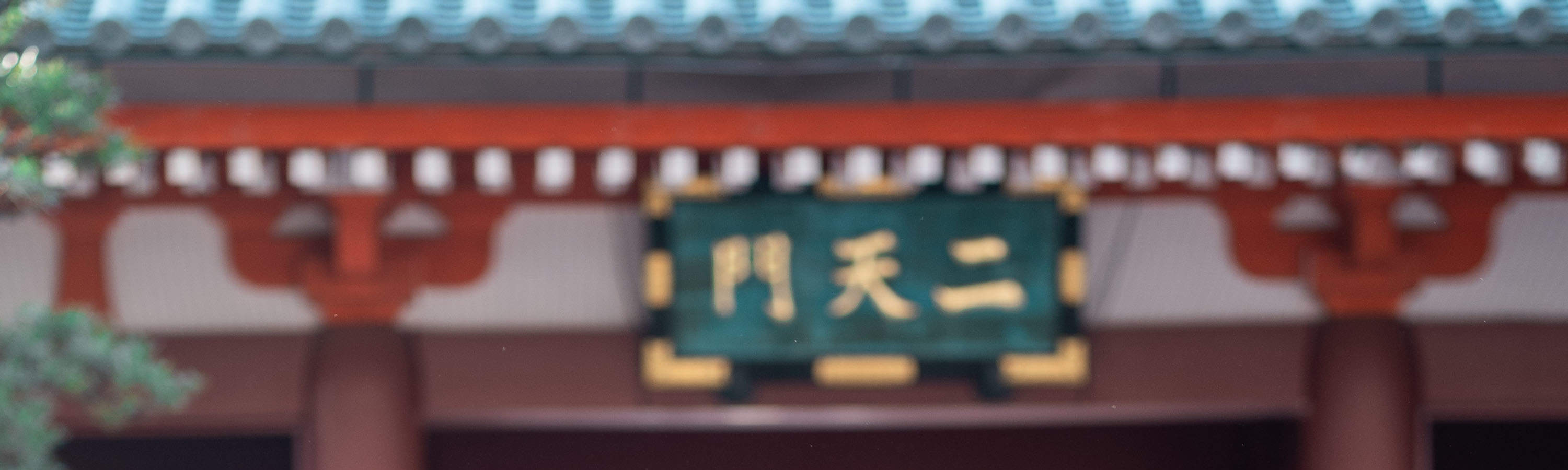 浅草着物レンタル（セルフ写真館＆写真オプション付き）by KIM