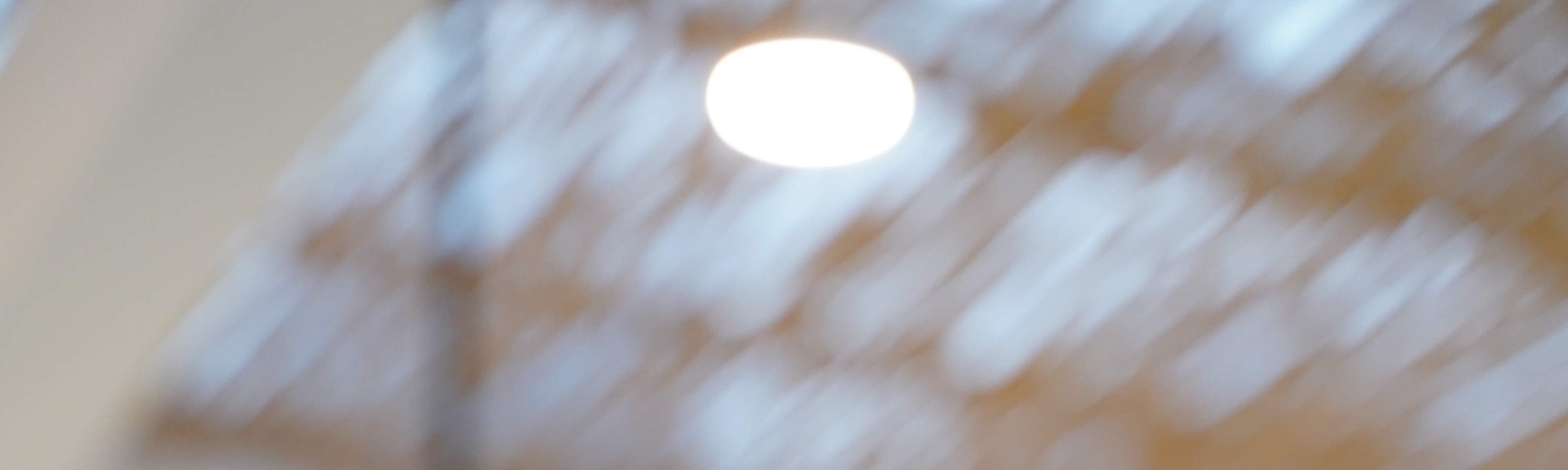 Katzenkaffee Pet Nirvana Bali