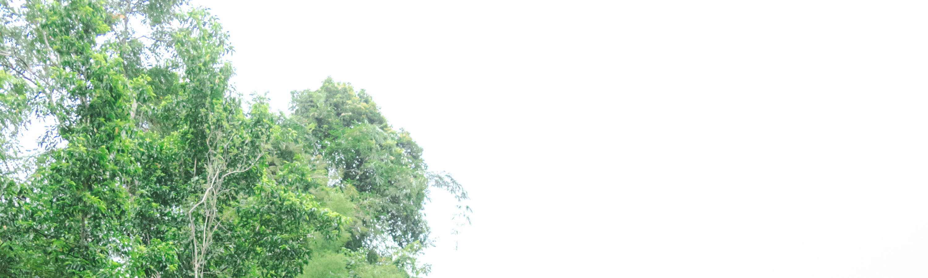 プライベート写真撮影体験（バリ）