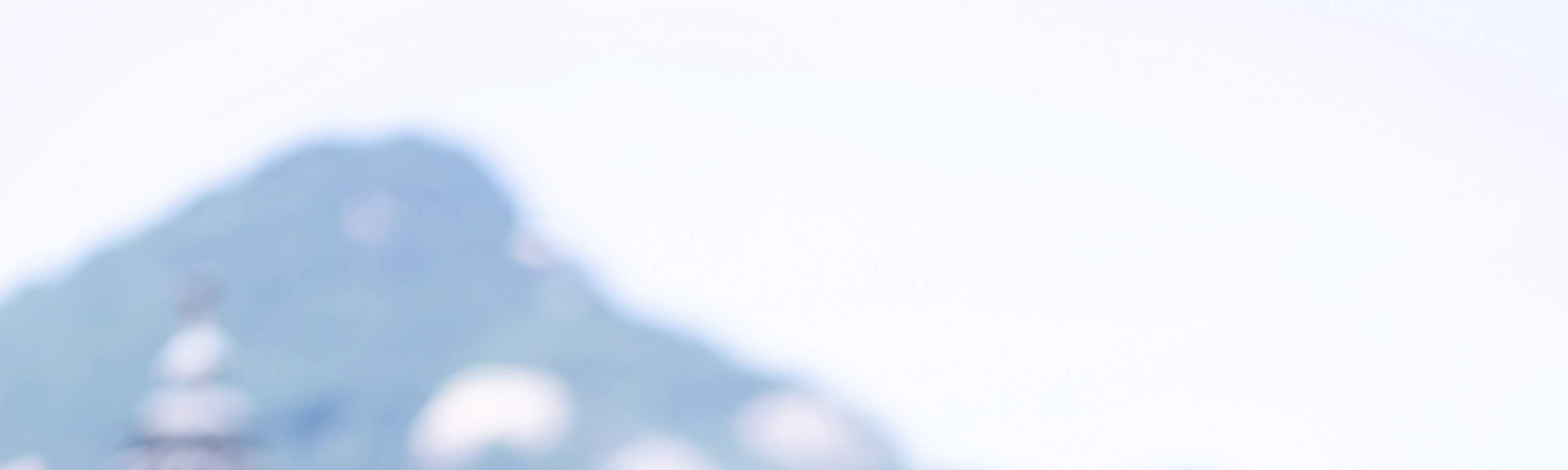 Servizio fotografico di lusso all'aperto (con trucco + stampa fotografica)