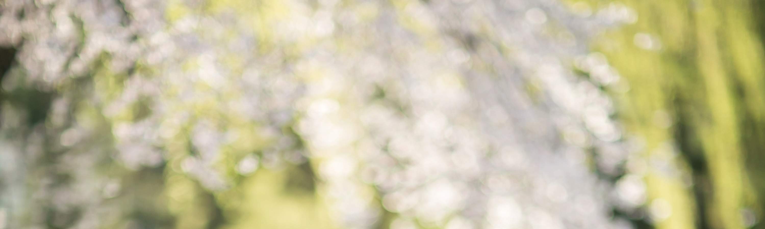 フュージョン韓服