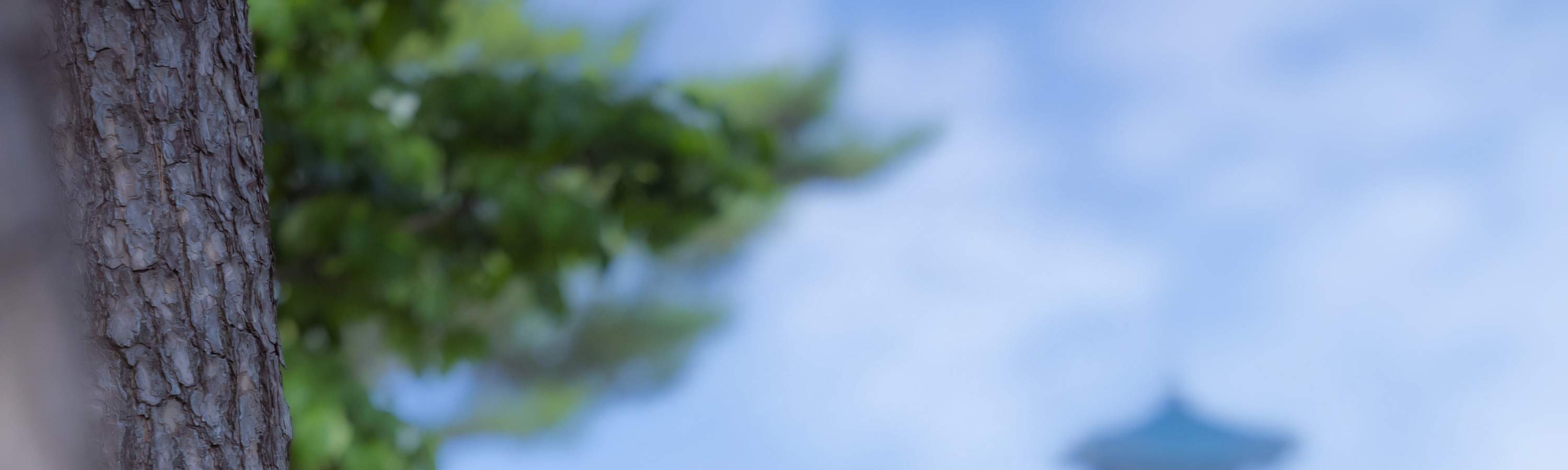 Noleggio di Hanbok al Palazzo Gyeongbokgung a Seoul