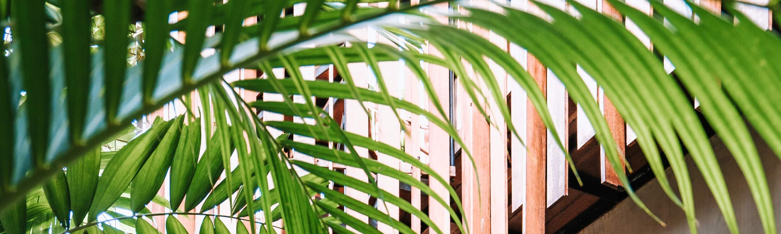 Спа и массаж в Tejas Spa отеля Adiwana Monkey Forest Ubud