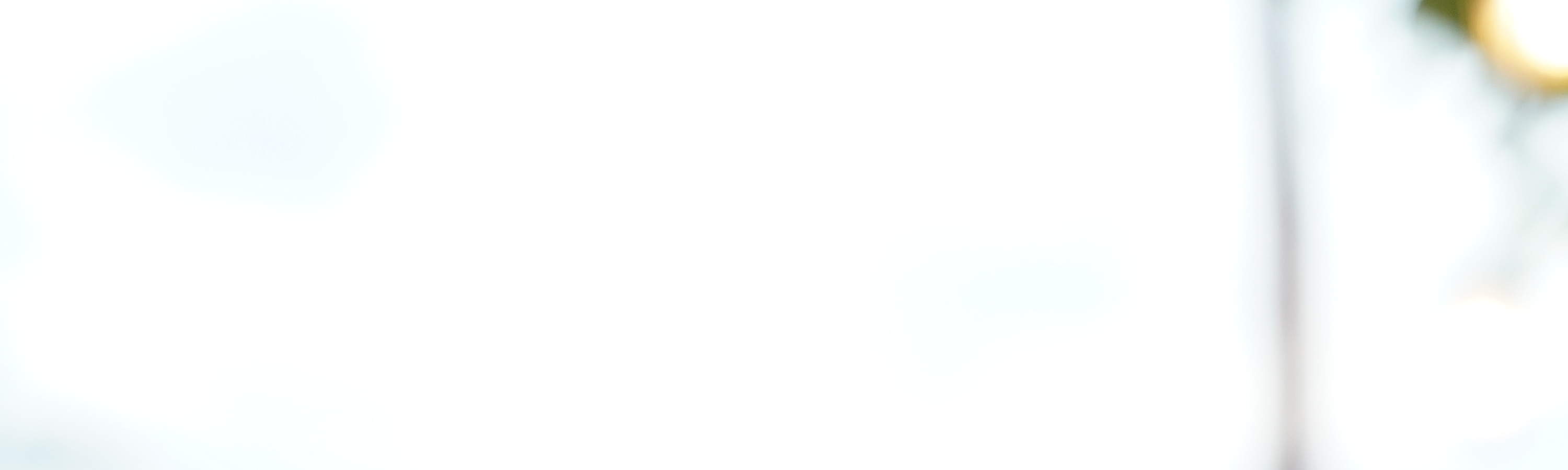 Katzen Café Pet Nirvana