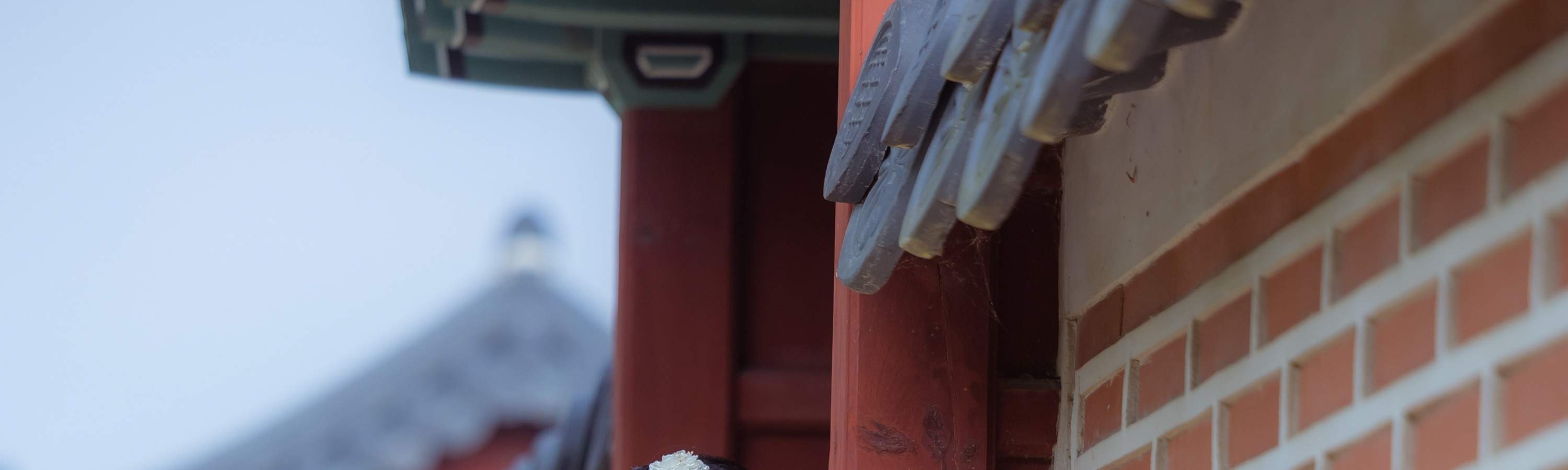 Noleggio di Hanbok al Palazzo Gyeongbokgung a Seoul