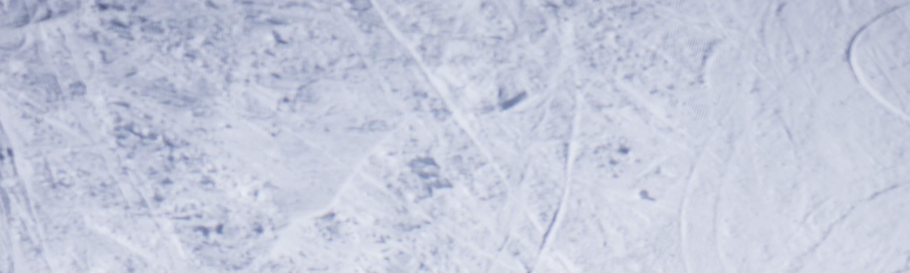 滋贺高原滑雪教练