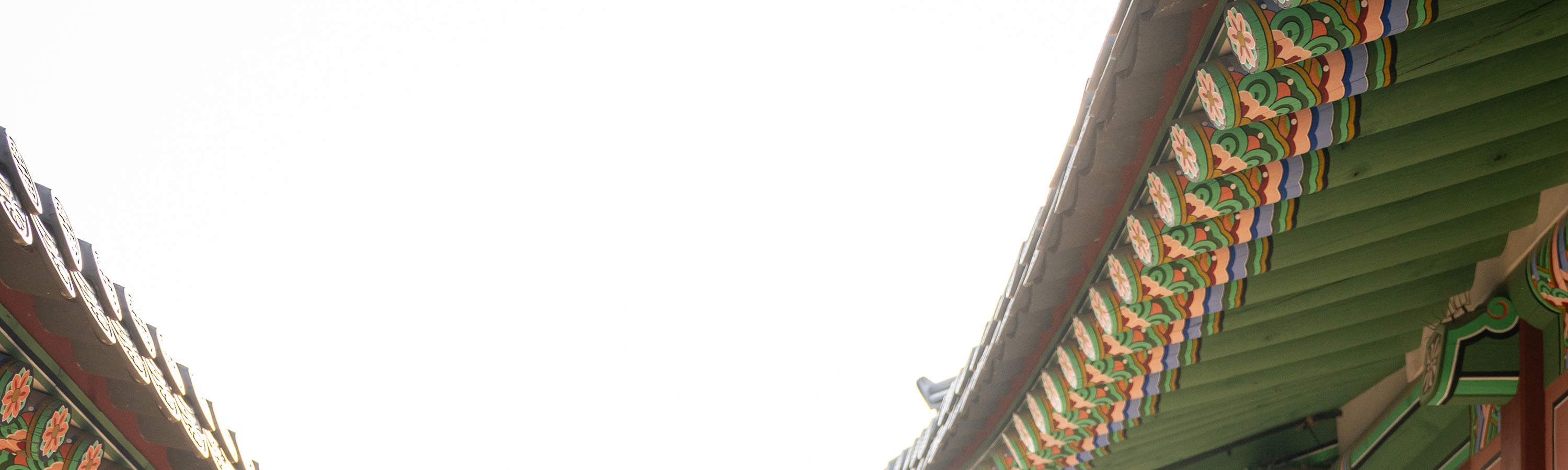 Esperienza di Servizio Fotografico e Video a Seoul