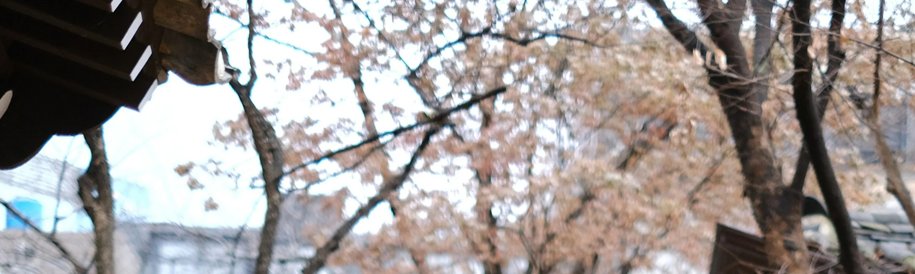 公主韩服（韩服租赁及韩服拍摄）