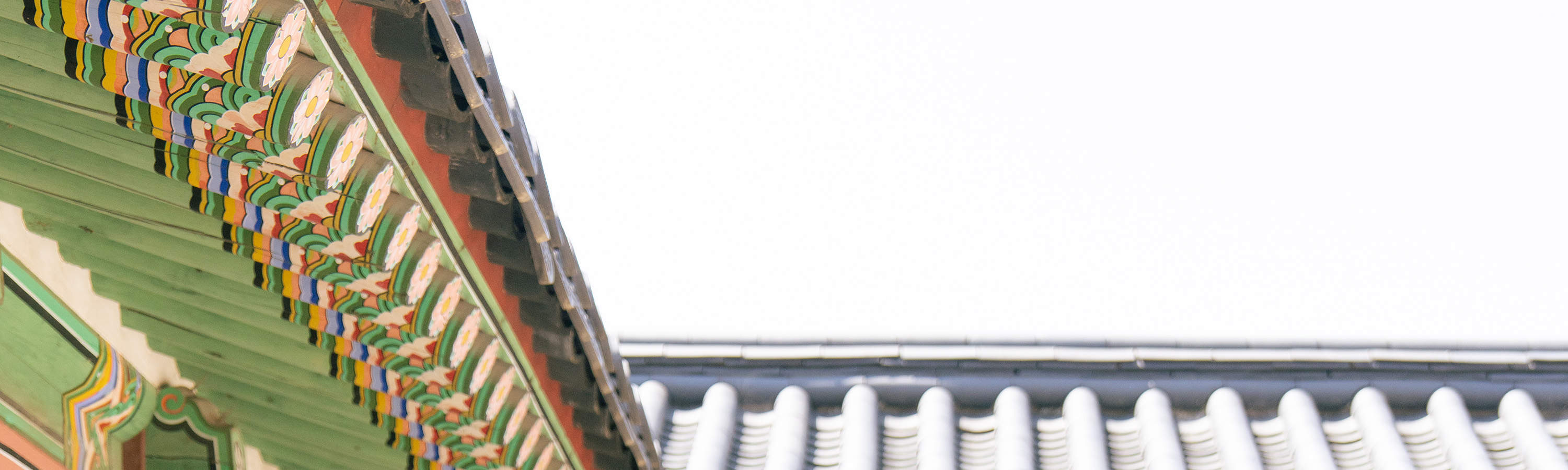 Foto-Shooting & Video-Dreh-Erlebnis in Seoul