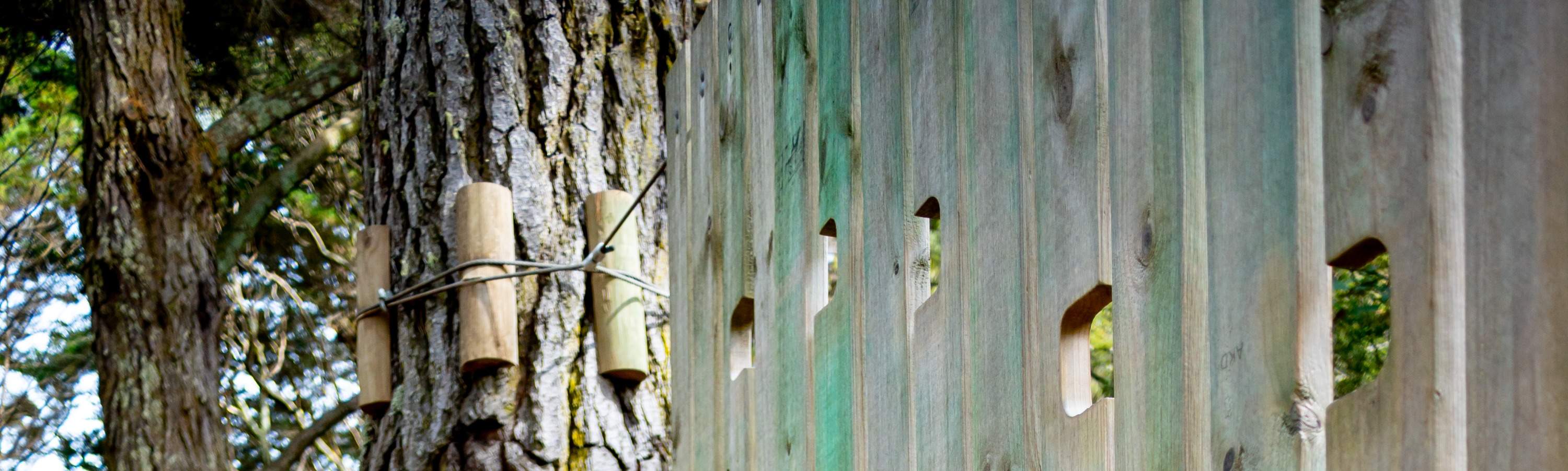 скалолазание