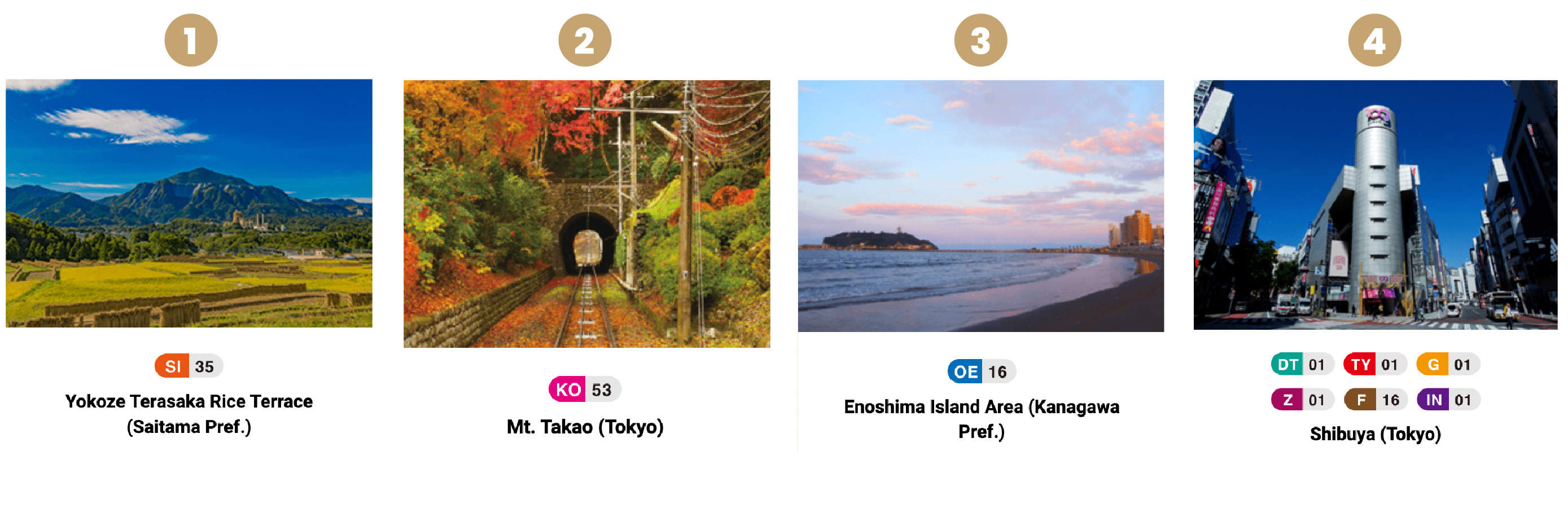 Greater東京周遊券