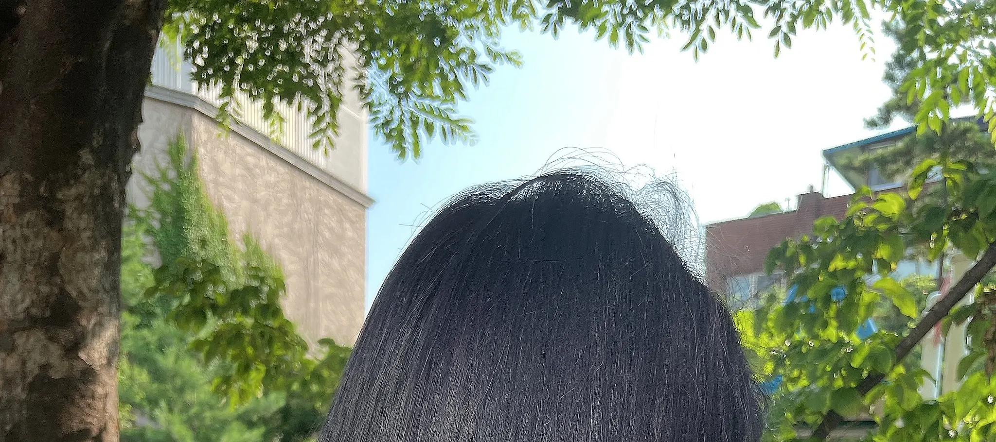 叶铅