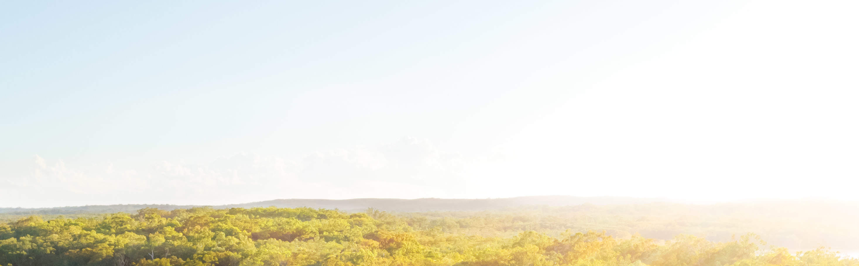 エバーグレーズ クルーズ体験（ヌーサ）