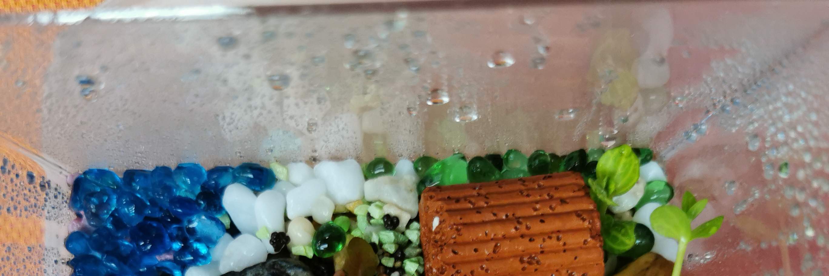 Concept X Plus - 미니 빌딩 블록 에코 아쿠아리움