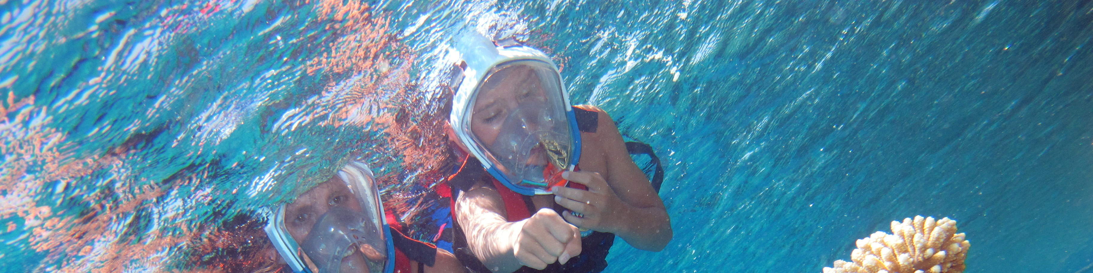 Ras Mohamed浮潜之旅