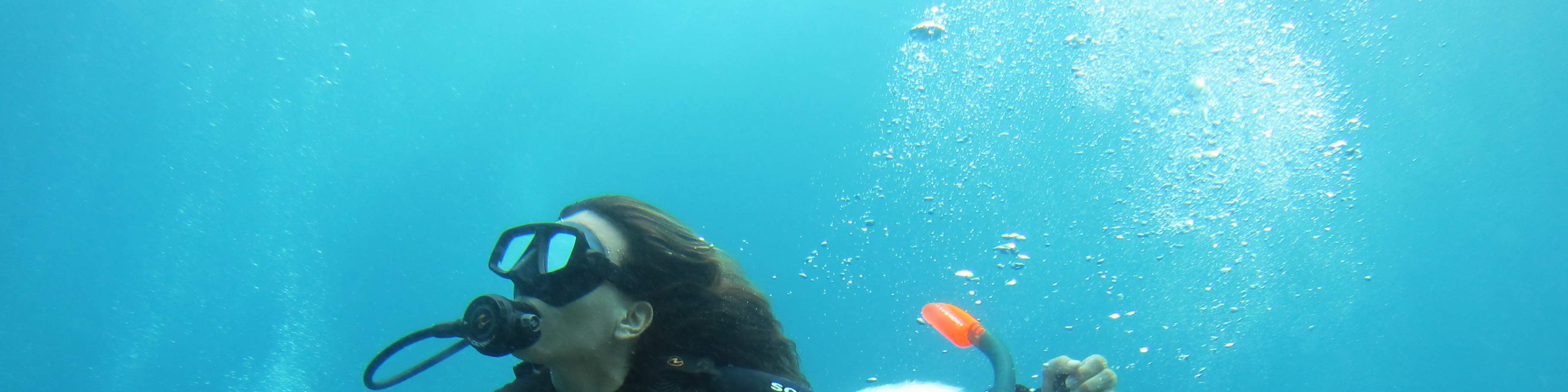 PADI Discover Scuba Diving