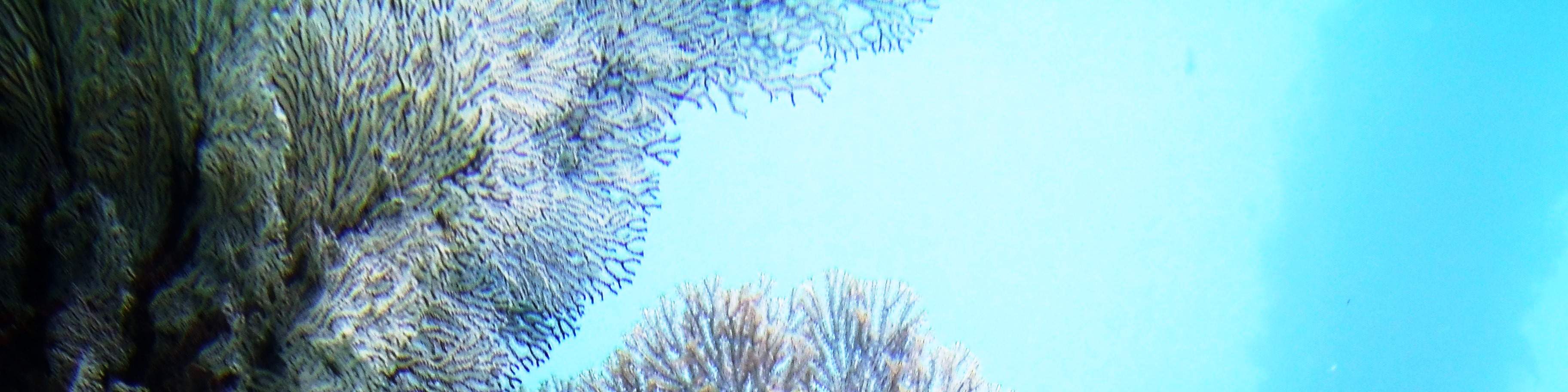 トランベン沈船での2回のダイビング