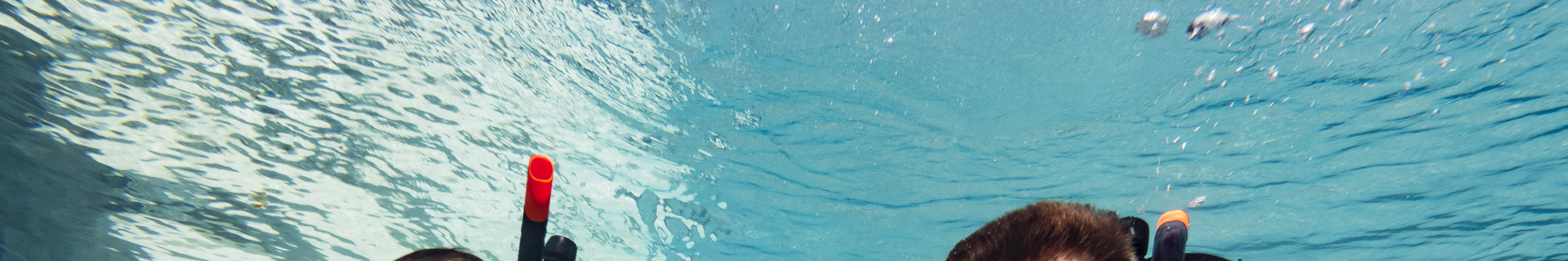 PADI Open Water Diver (E-learning)