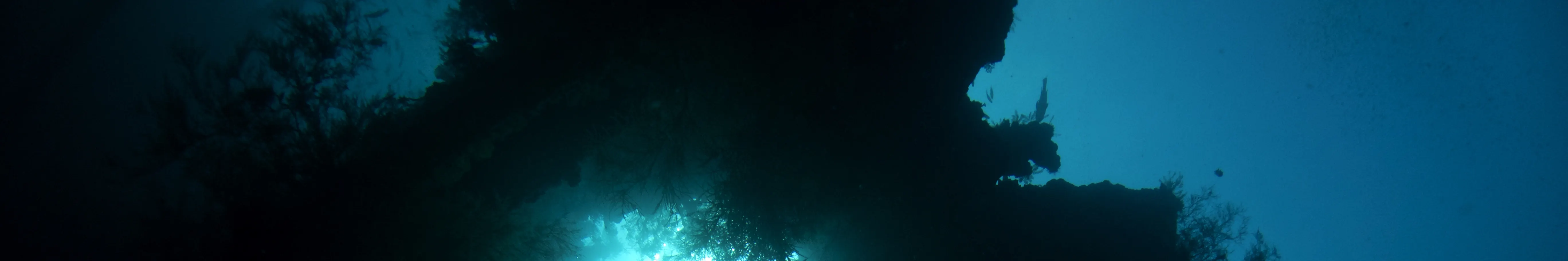 在 USAT Liberty Wreck Tulamben 进行 2 次潜水