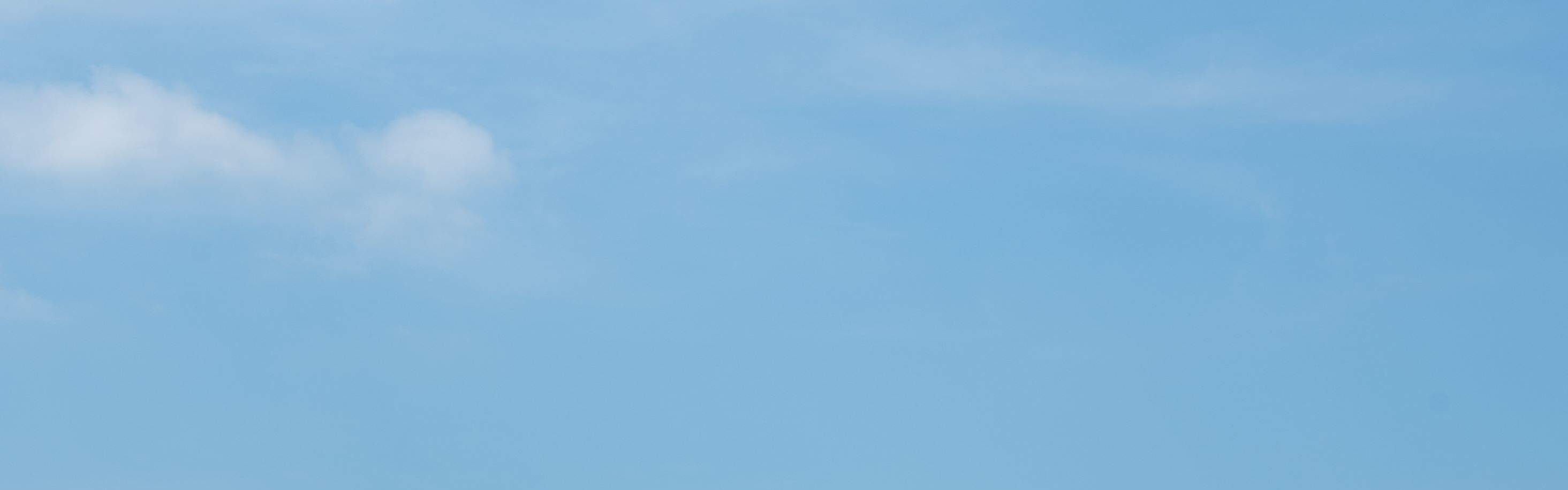 코코넛 섬에서 즐기는 여유로운 휴식.