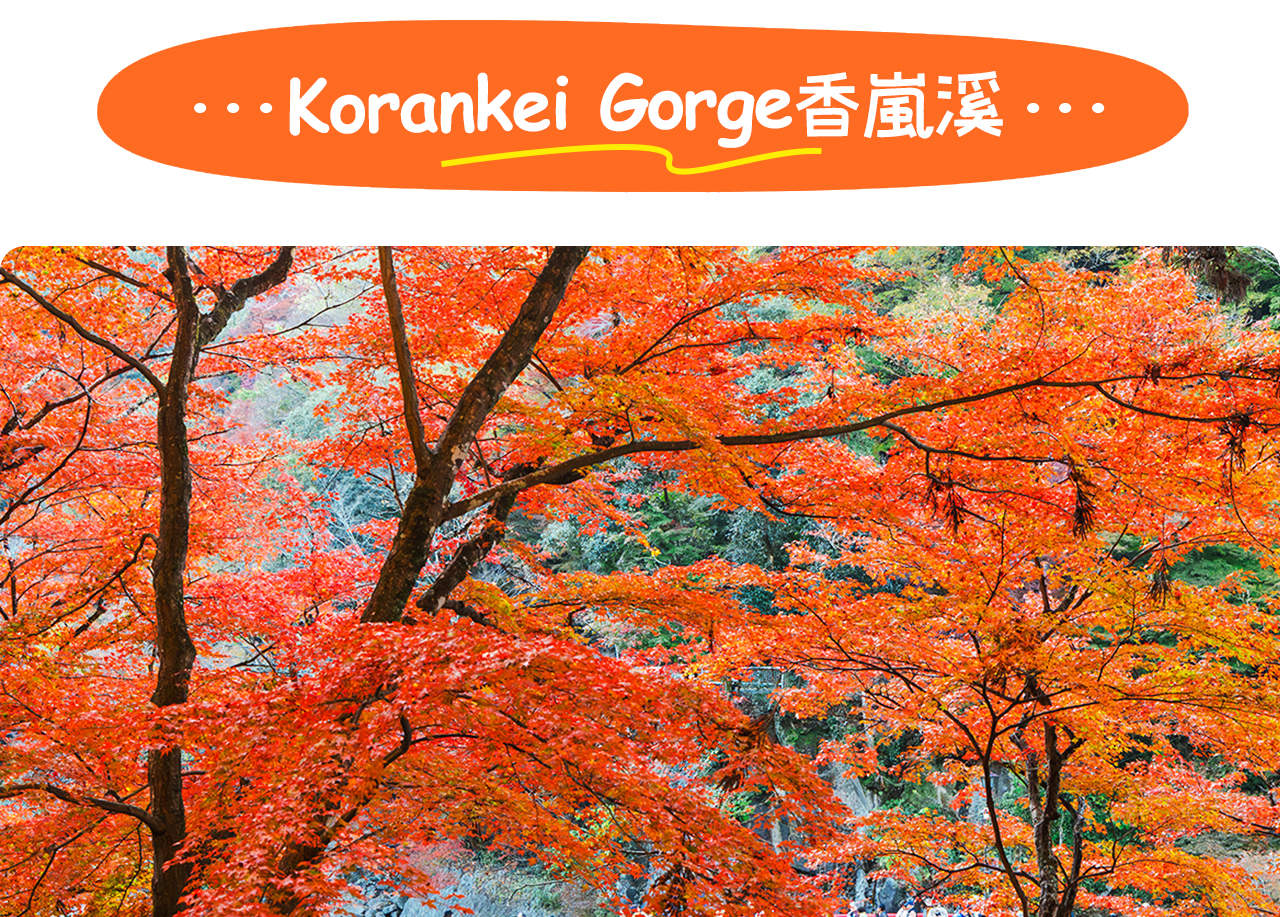 Tiger Creek Mountain Eihoji Temple & Obara Shikizakura & Korankei Autumn  Leaves Day Trip - Klook Singapore