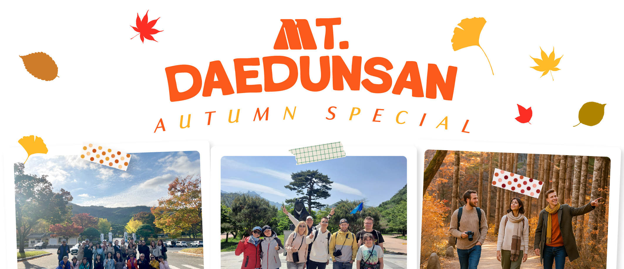 Daedunsan Autumn Maple Day Tour from Seoul - Klook