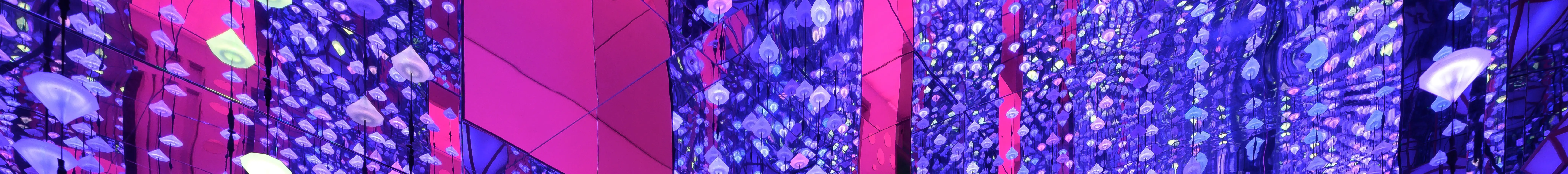 莫科博物馆室内