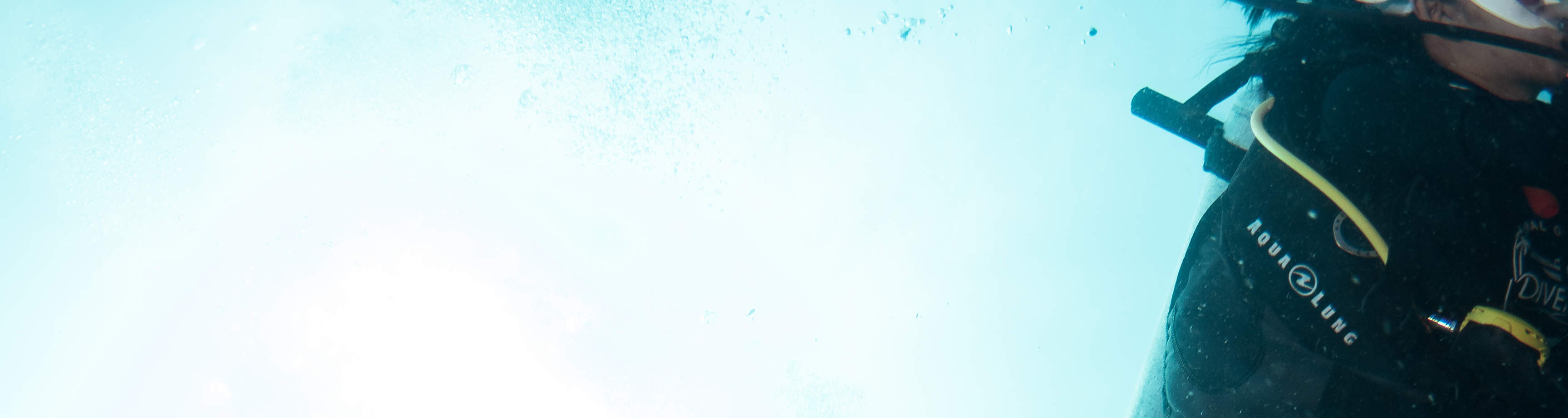 PADI Enriched Air Diver