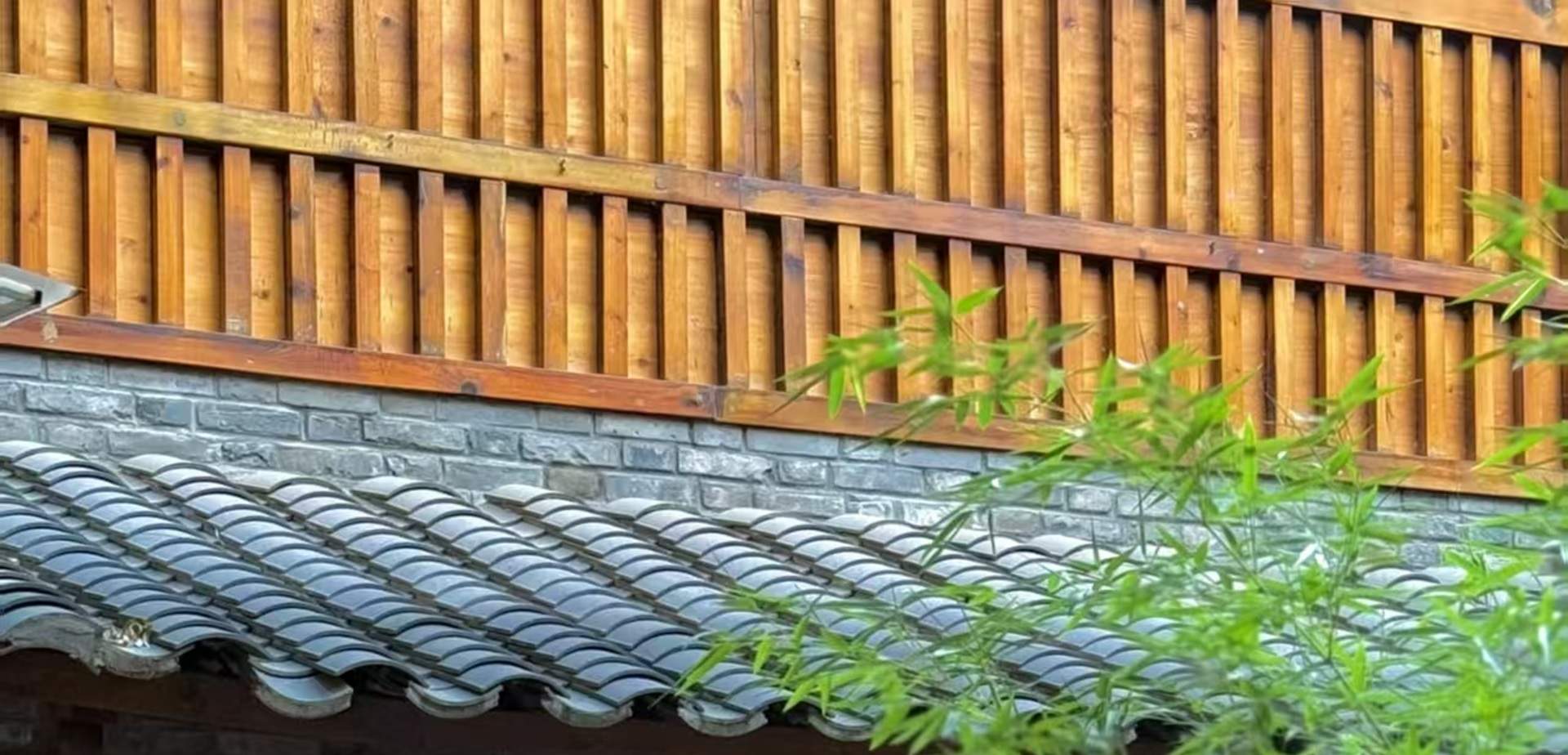 Il piccolo cortile è piantumato con alberi di pesco e bambù verde. Quando i fiori di pesco sbocciano in primavera, sedersi accanto alla finestra a gustare il tè è come essere immersi nel poetico quadro di 
