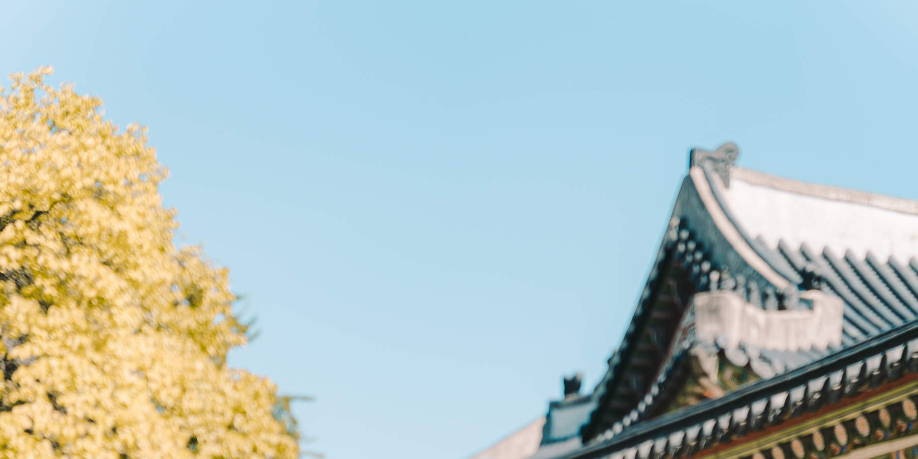 Pemandangan Seoul: Pengalaman Pemotretan