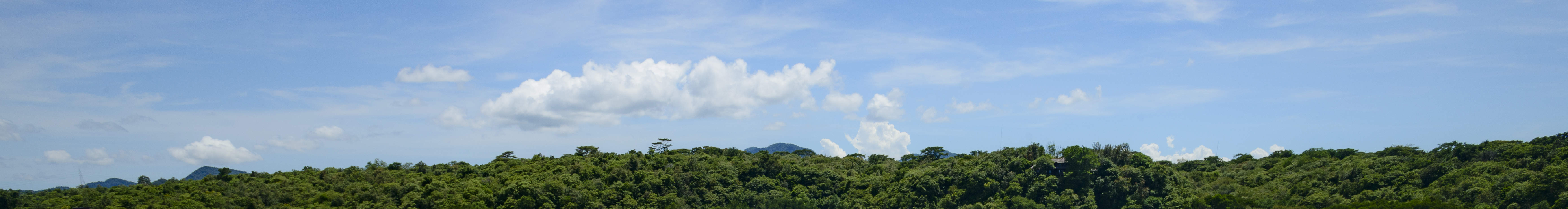 PADI Open Water Diver (E-learning)