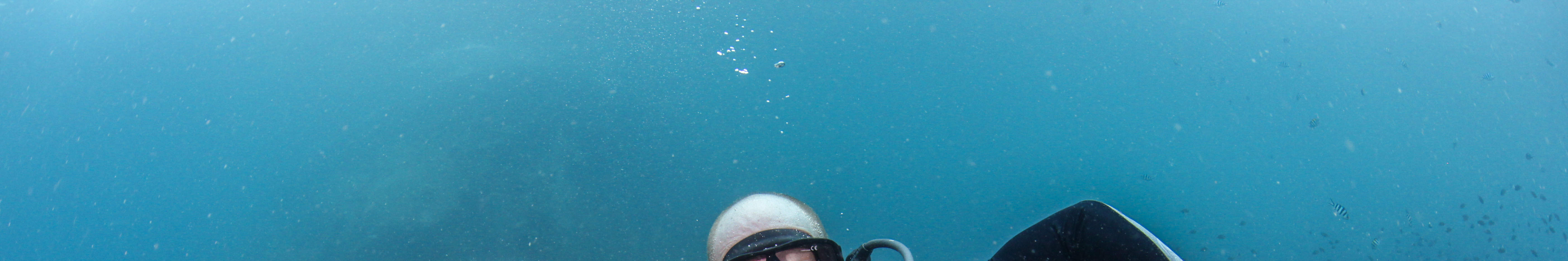 Perjalanan Menyelam Setengah Hari