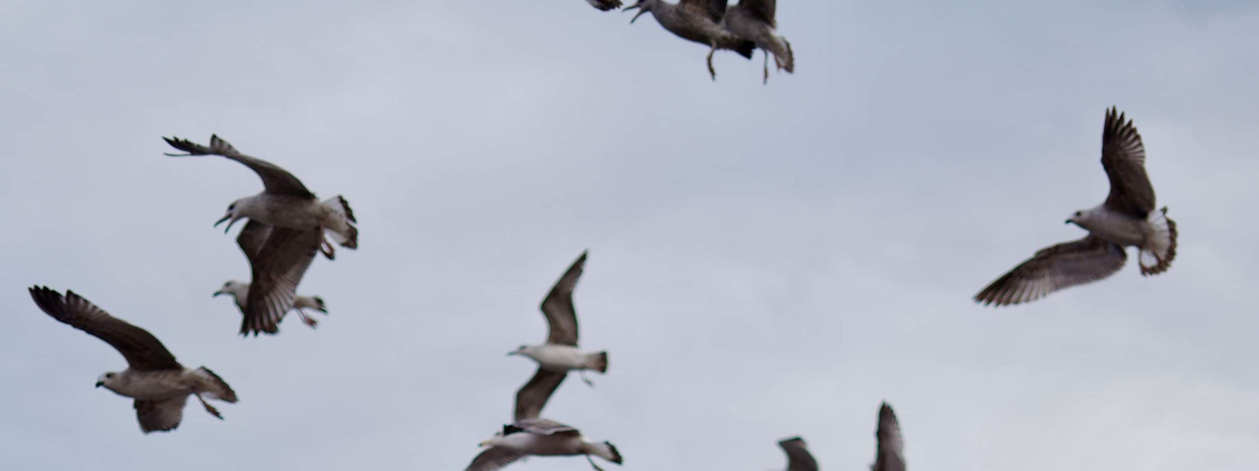 伊斯坦布尔：私人户外露台摄影