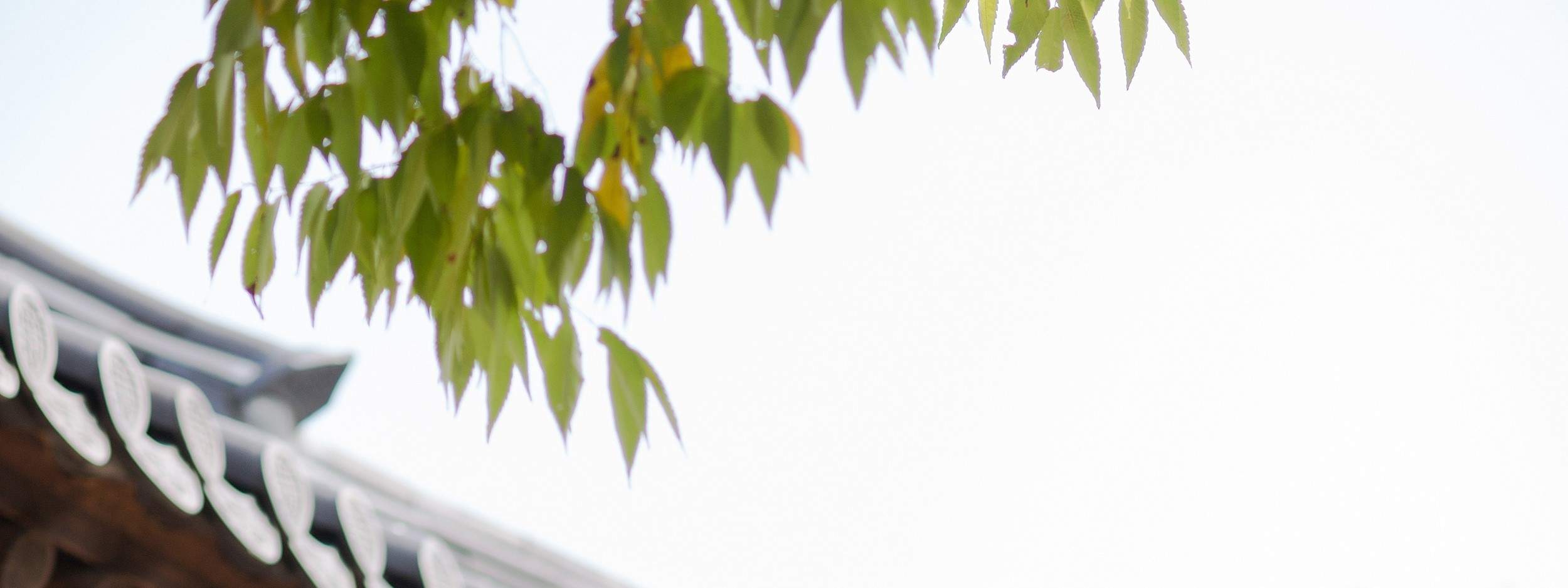 Indossa gli abiti tradizionali coreani, Hanbok, e prova l'esperienza di un matrimonio tradizionale.