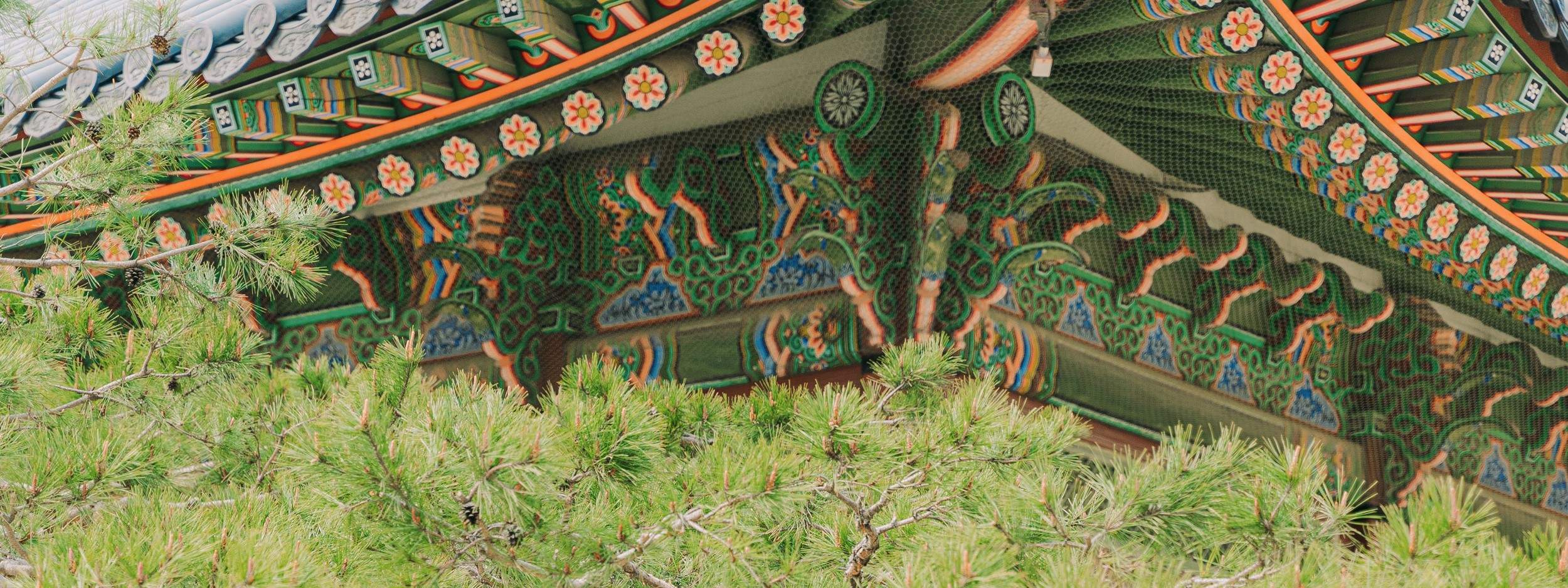 Pemandangan Seoul: Pengalaman Pemotretan