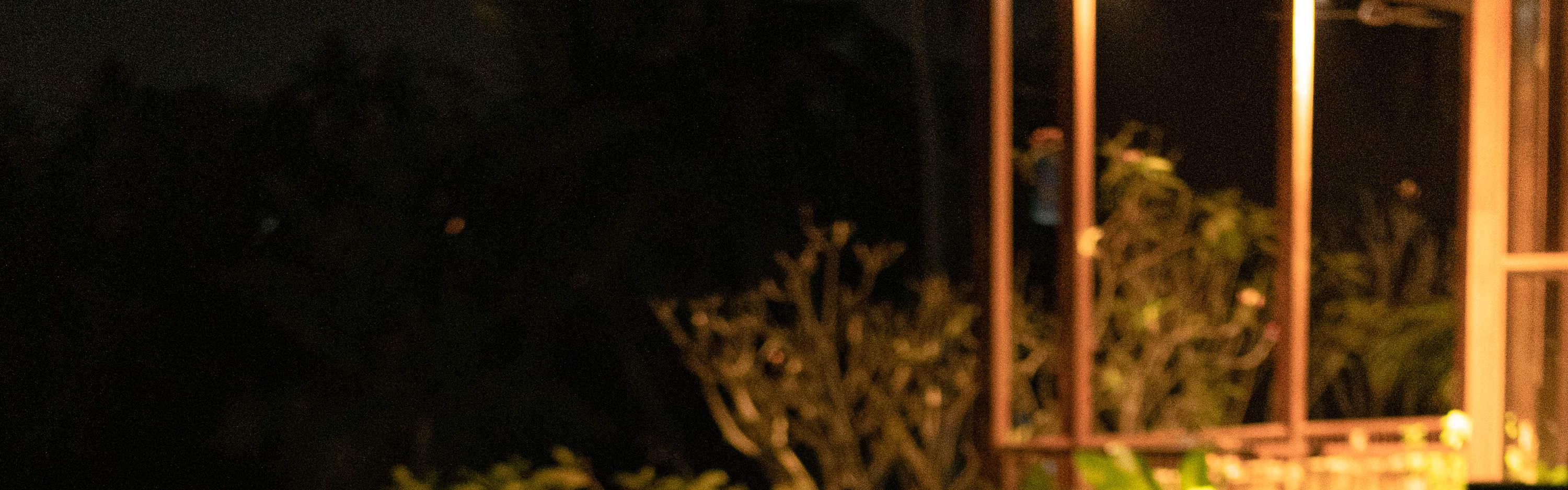 로맨틱한 저녁 식사