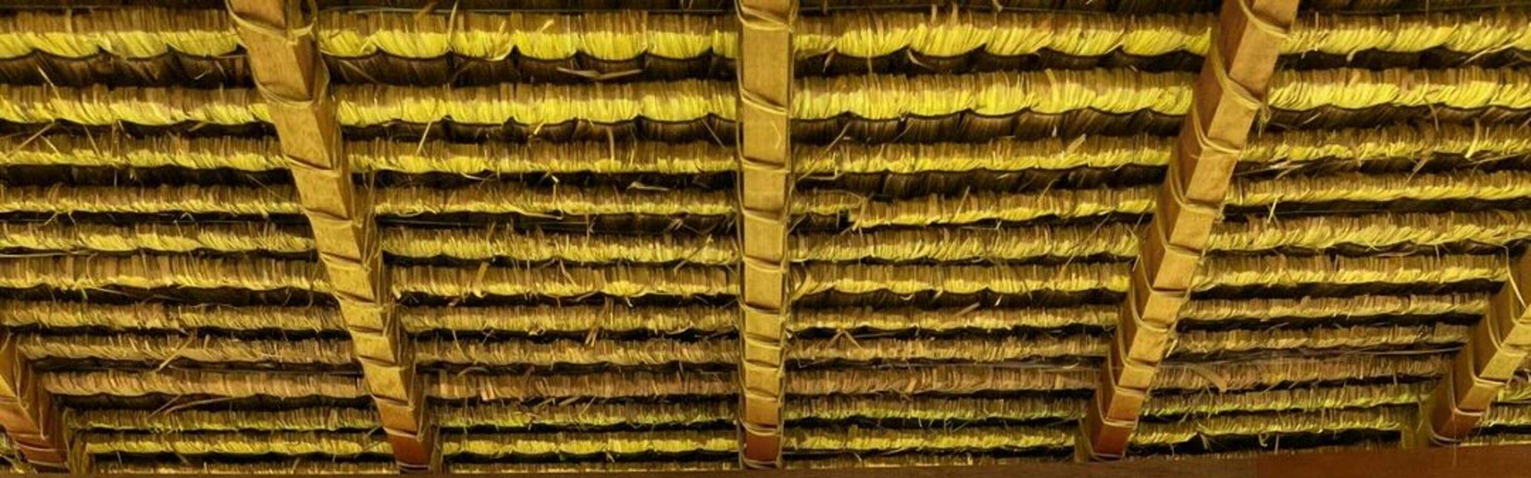 Excursion en Jeep au Mont Batur Alengkong au lever du soleil avec photographe en option