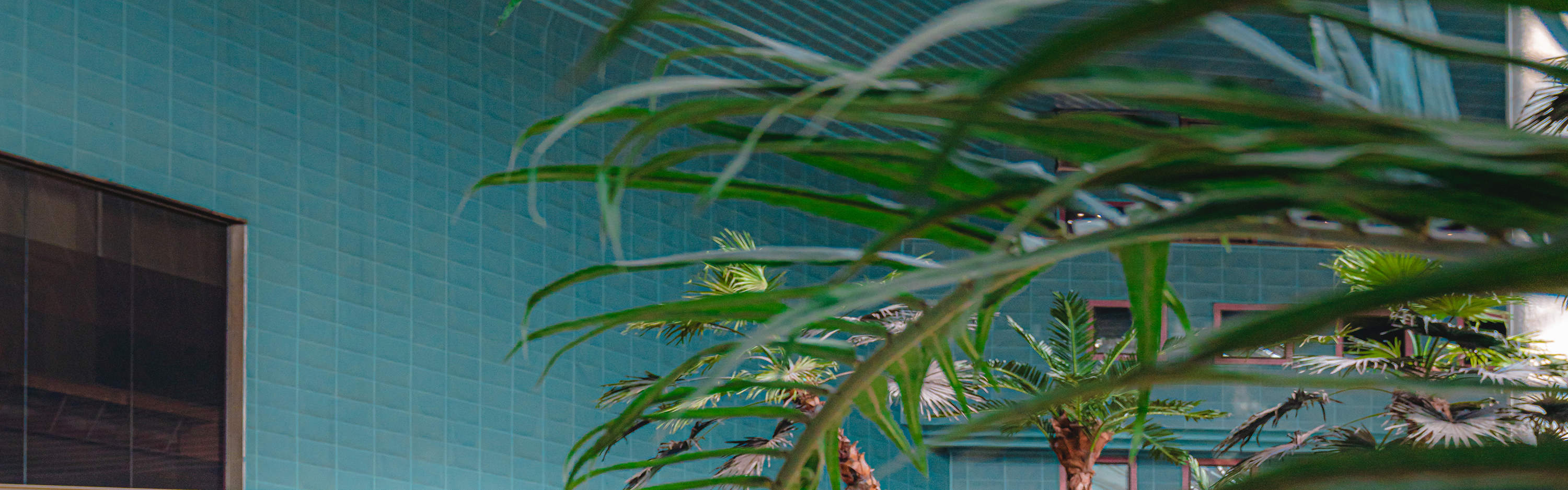 Entrada a Lotte World en Seúl