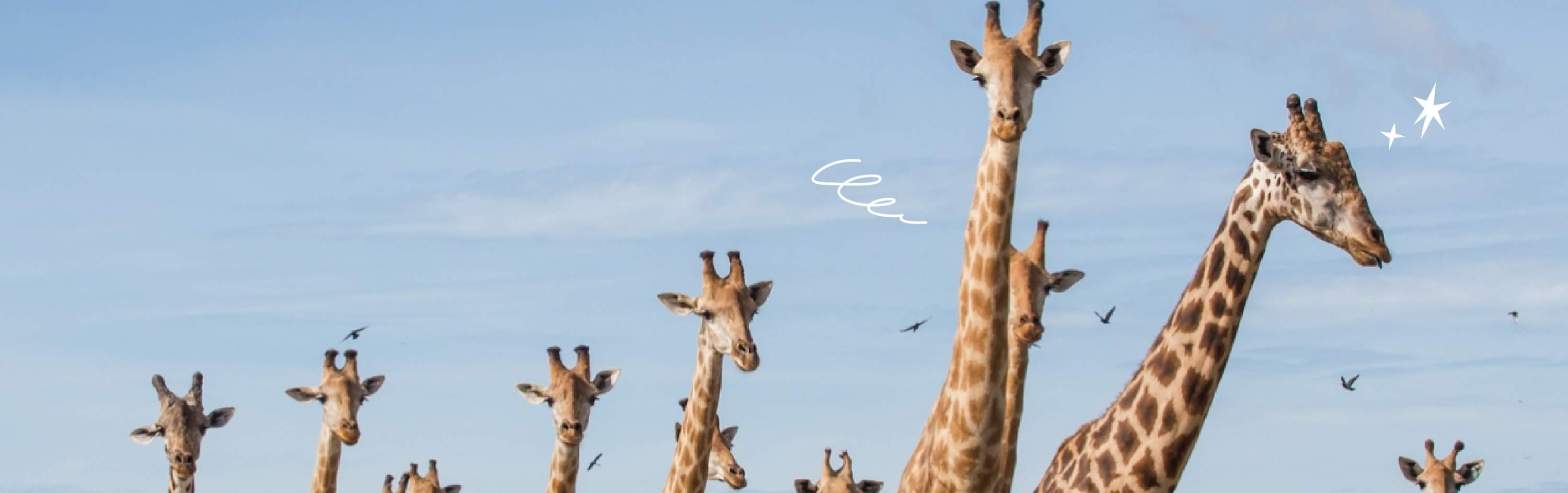 Safari World, da non perdere